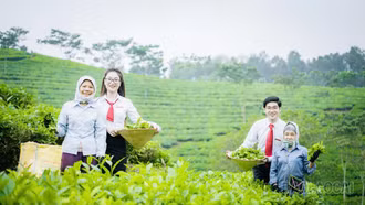 Phát huy vai trò tổ vay vốn trong phát triển nông nghiệp, nông thôn