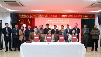 Khối thi đua Doanh nghiệp kinh doanh tổng hợp 2 triển khai nhiệm vụ năm 2026