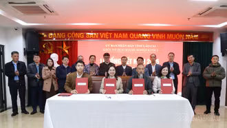 Khối thi đua Doanh nghiệp kinh doanh tổng hợp 2 triển khai nhiệm vụ năm 2026