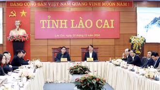 Triển khai thực hiện hiệu quả kết luận của Thủ tướng Chính phủ tại buổi làm việc với Ban Thường vụ Tỉnh ủy Lào Cai