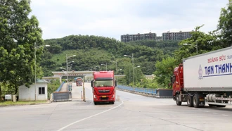 Lào Cai: Nhộn nhịp hoạt động xuất - nhập khẩu trong kỳ nghỉ lễ