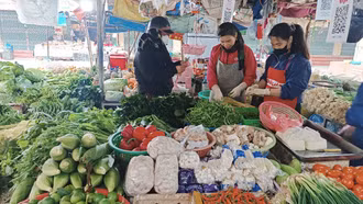 Chỉ số giá tiêu dùng của Lào Cai tăng ngay từ tháng đầu năm