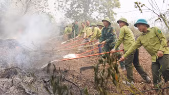 Sau hơn 1 giờ triển khai các phương án chữa cháy, dập lửa, đám cháy rừng được khống chế, dập tắt hoàn toàn.