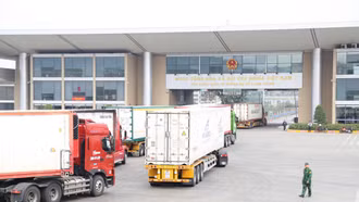 Thu ngân sách 2 tháng đầu năm tăng cao so với cùng kỳ năm 2024