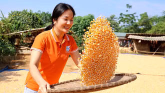 Phụ nữ xã Bản Lầu phát huy quyền năng kinh tế