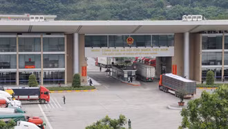 Gần 21 nghìn tấn quả vải thiều được xuất khẩu qua Cửa khẩu Kim Thành