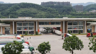 Hơn 31.500 tấn quả vải tươi được xuất khẩu qua cửa khẩu Lào Cai