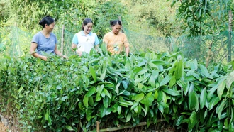 Chương trình mục tiêu quốc gia: Nhiều cách làm hay từ cơ sở