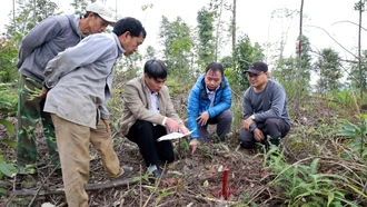 Dự án đường dây 500 KV Lào Cai - Vĩnh Yên: Triển khai thần tốc ở Bảo Thắng 