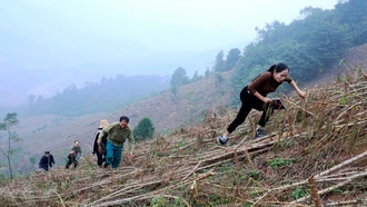 Cuộc đua với thời gian