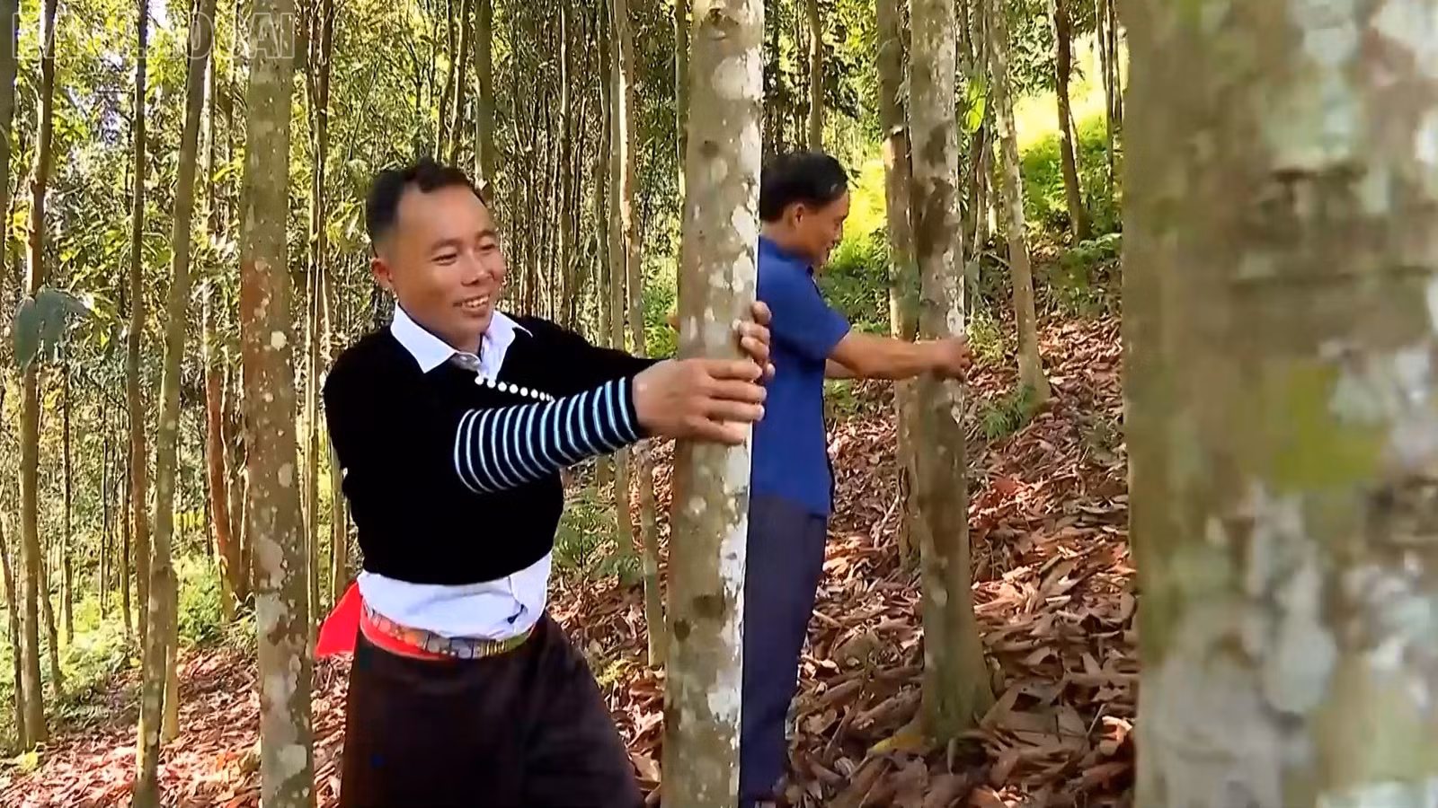 baolaocai-tl_phong-trao-thi-dua-3.jpg