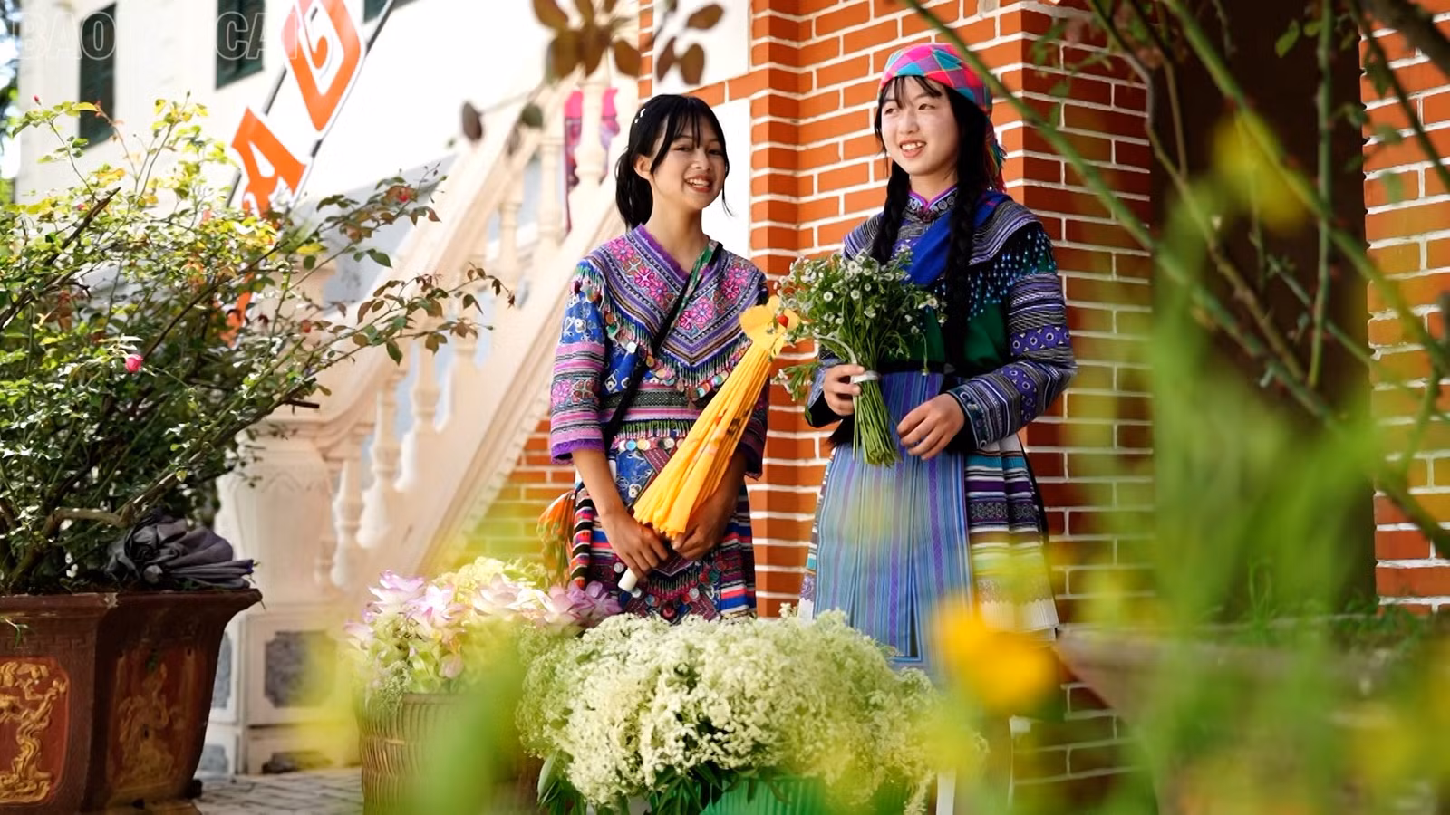 baolaocai-tl_nghi-quyet-80-6.jpg