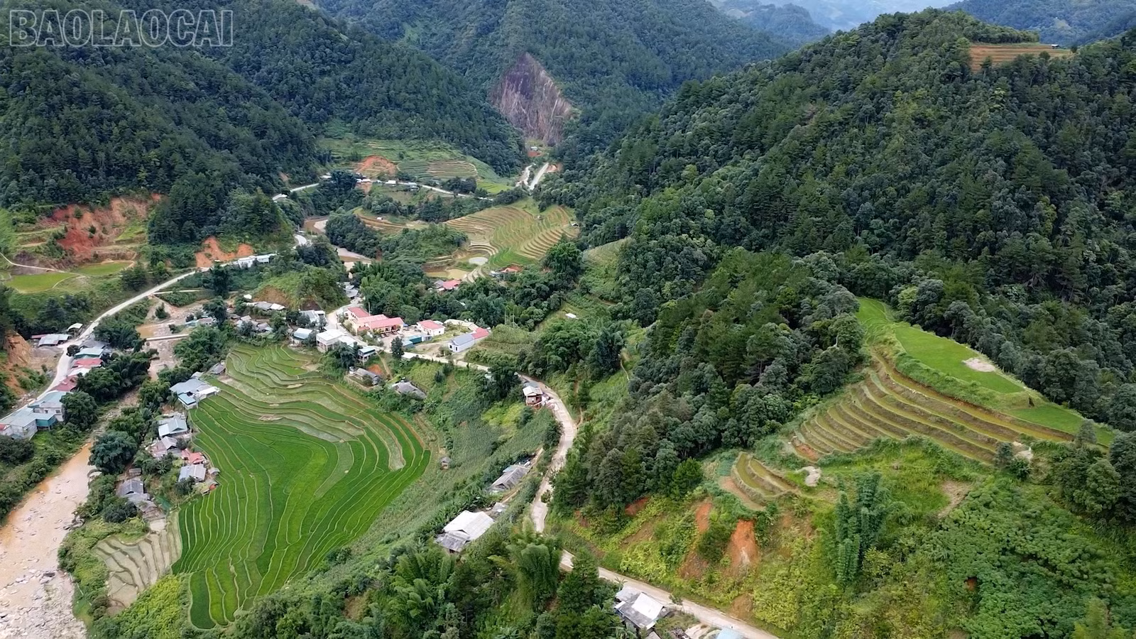 baolaocai-tl_lao-chai-8.jpg