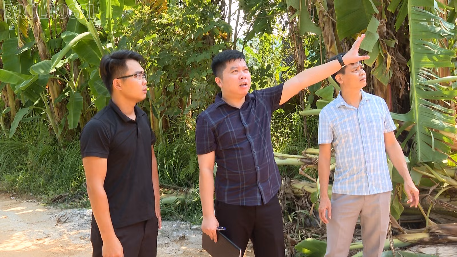 baolaocai-tl_giao-viec-4.jpg