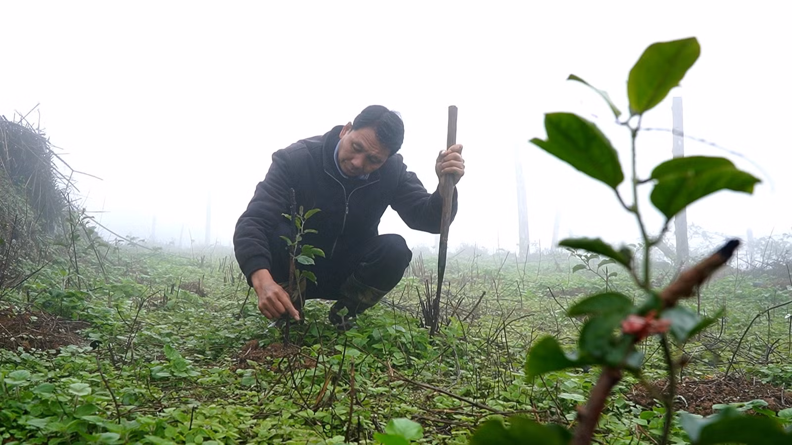 baolaocai-tl_khoa-hoc-mo-loi.jpg