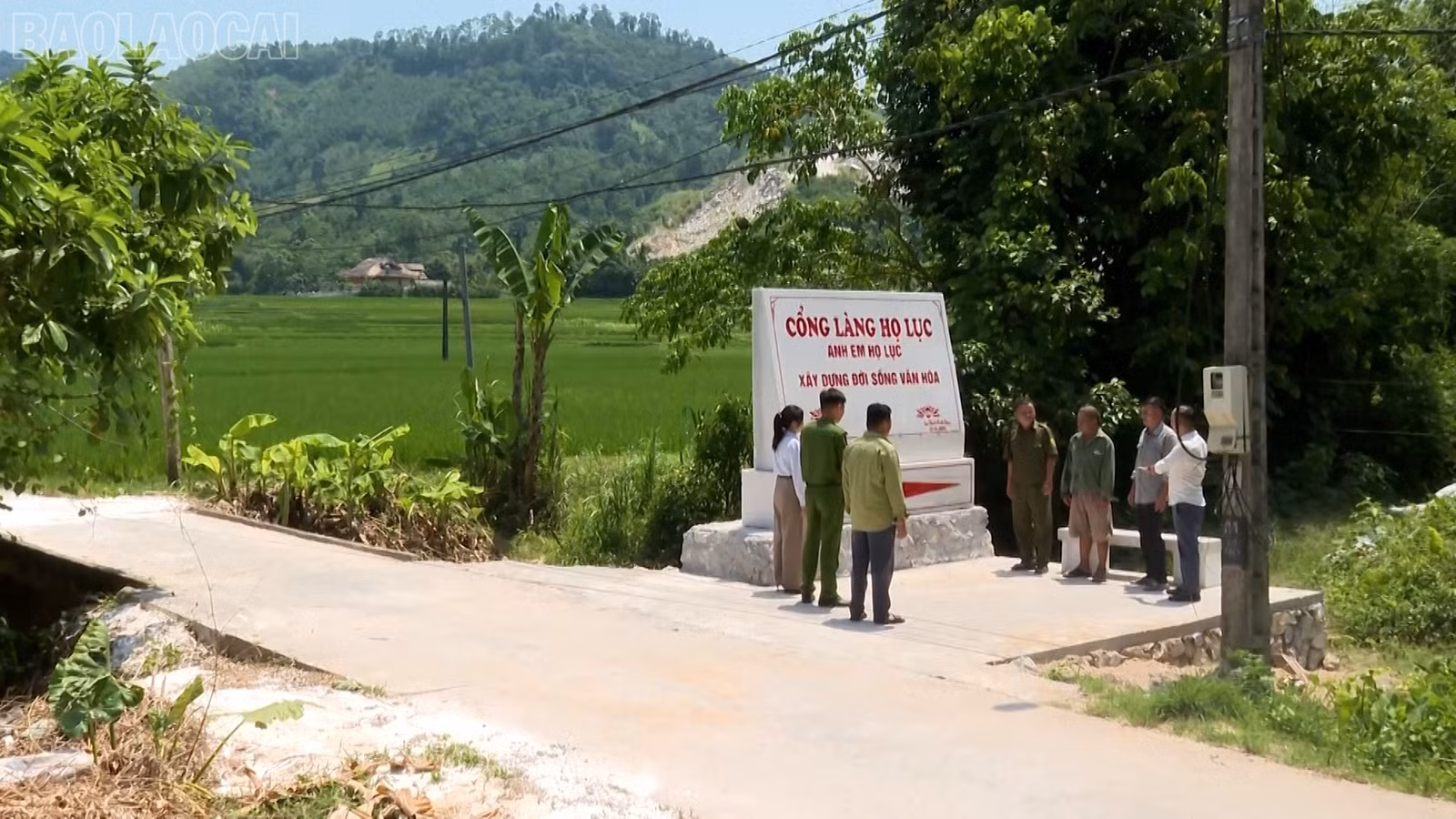 baolaocai-tl_thuan-phong-16.jpg