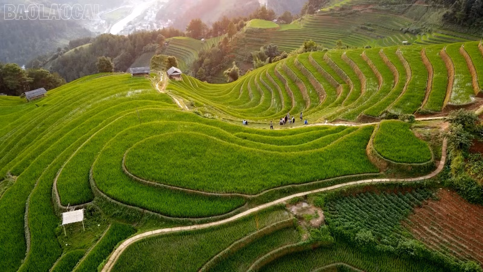 Vùng cao Lào Cai đang đổi thay từng ngày.