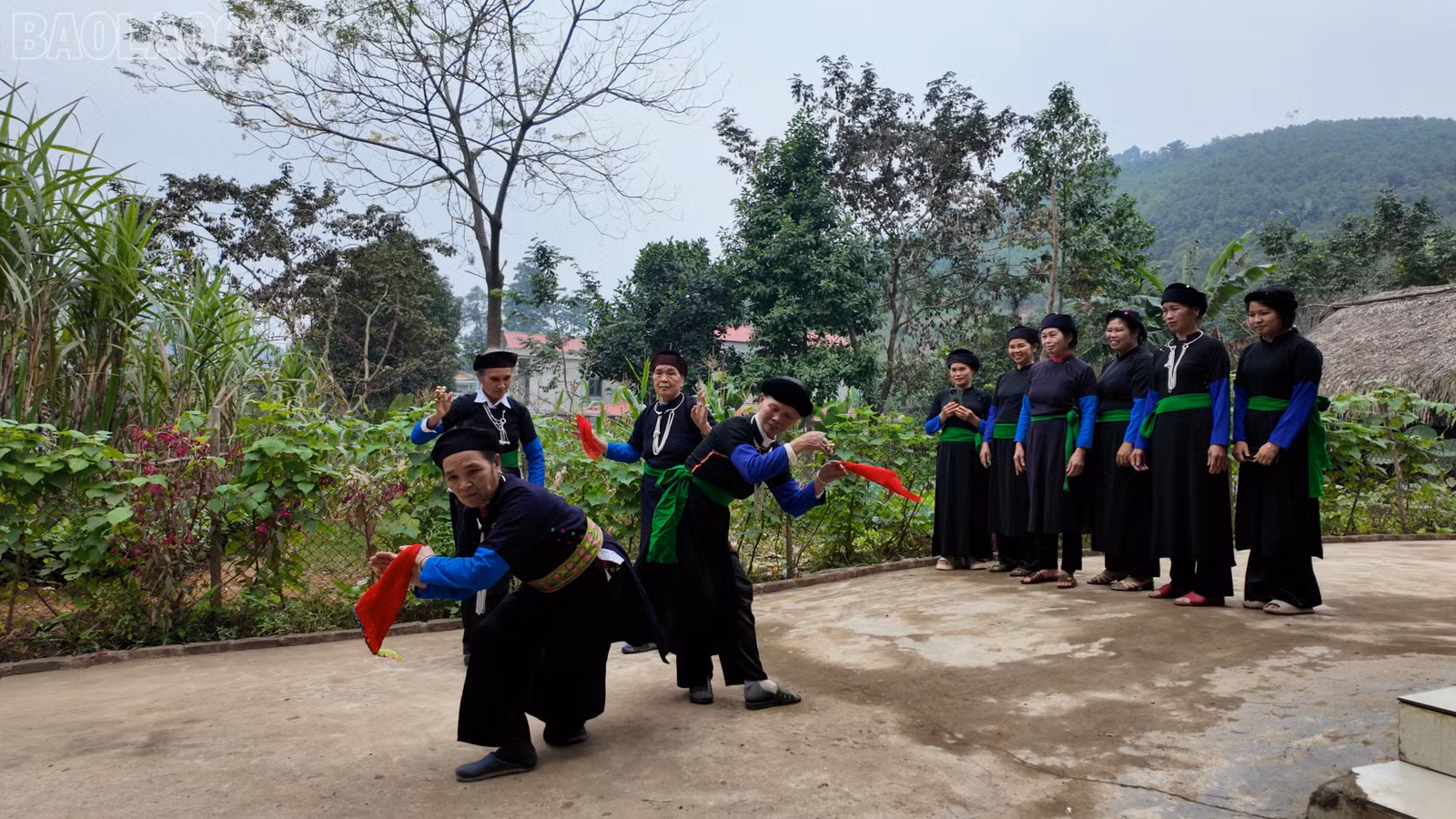 baolaocai-tl_nhip-tay.jpg