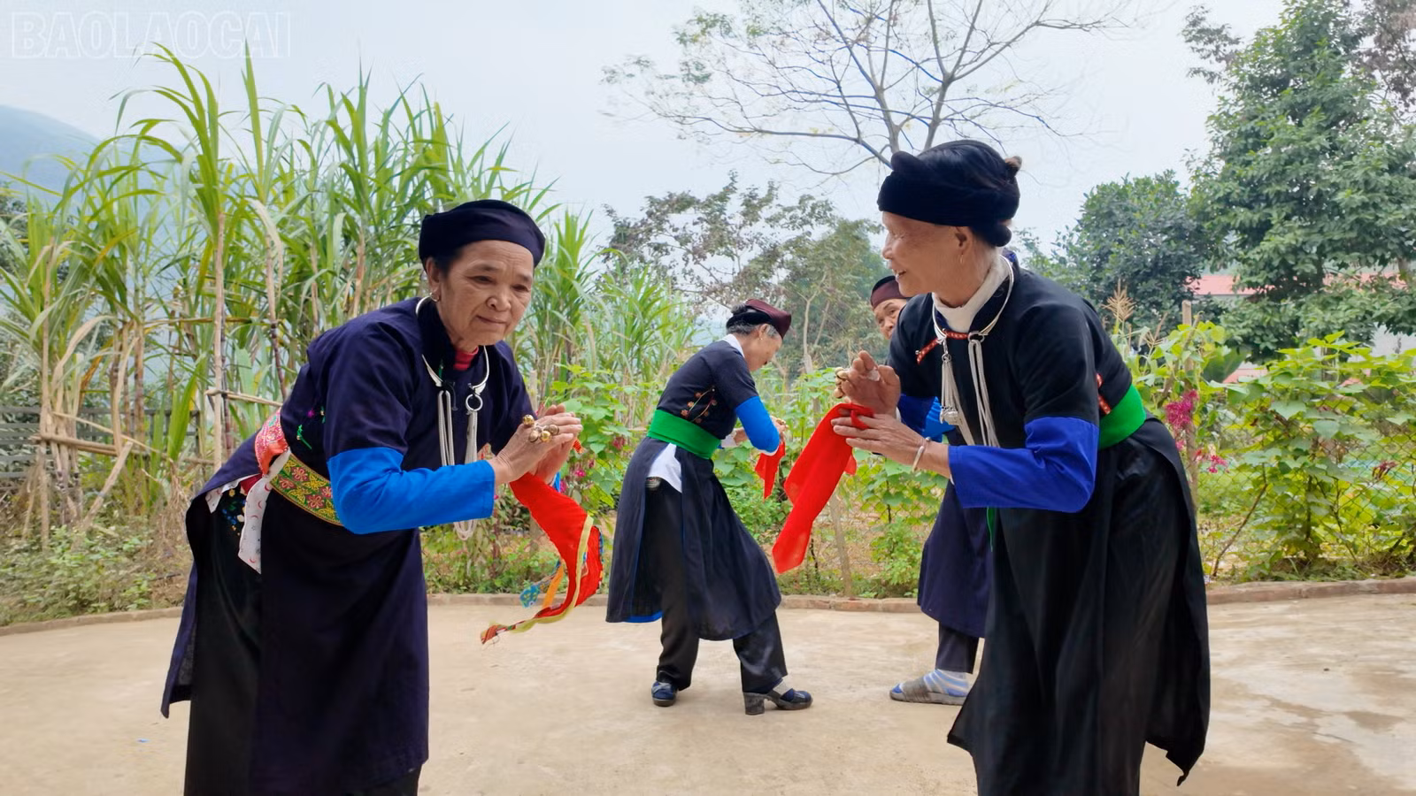 baolaocai-tl_nhip-tay-2.jpg