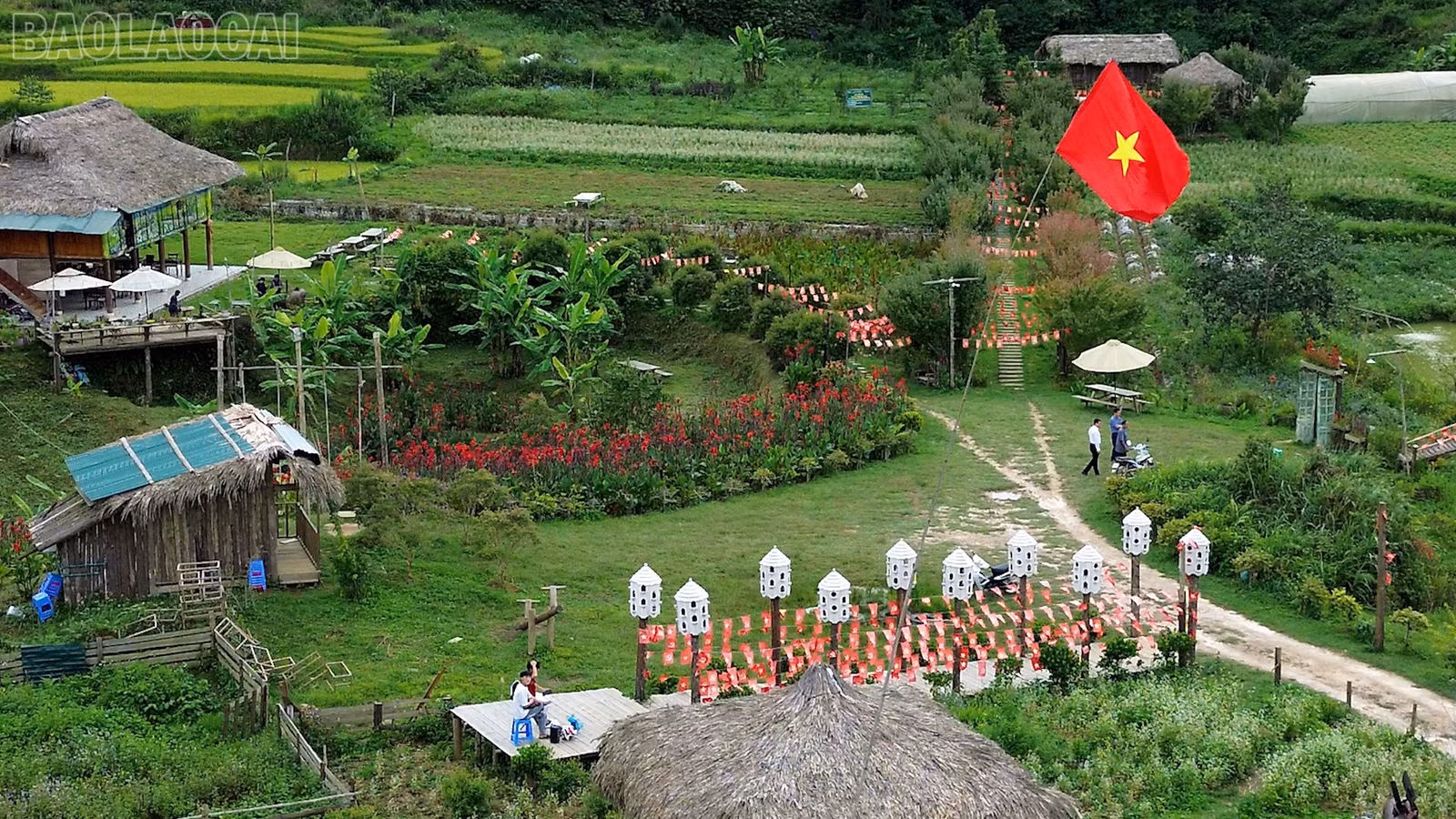 baolaocai-tl_dan-toc-thieu-so-7.jpg