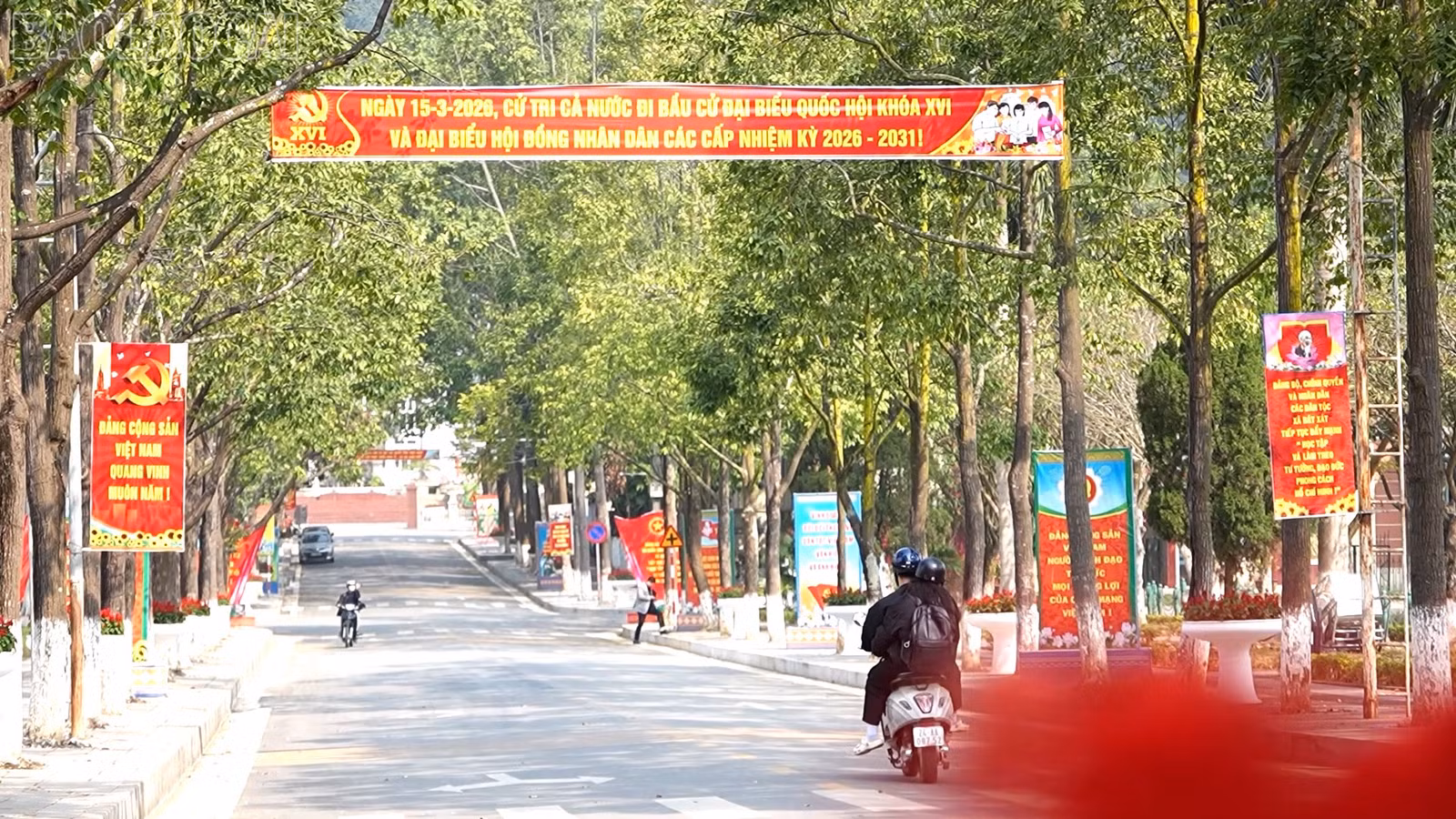 baolaocai-tl_dot-pah-6.jpg