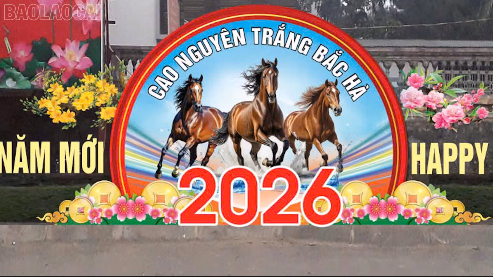 baolaocai-tl_dot-pha-8.jpg