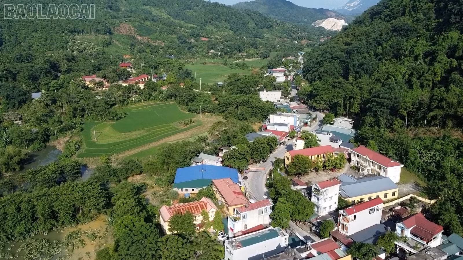 baolaocai-tl_dot-pha-9.jpg