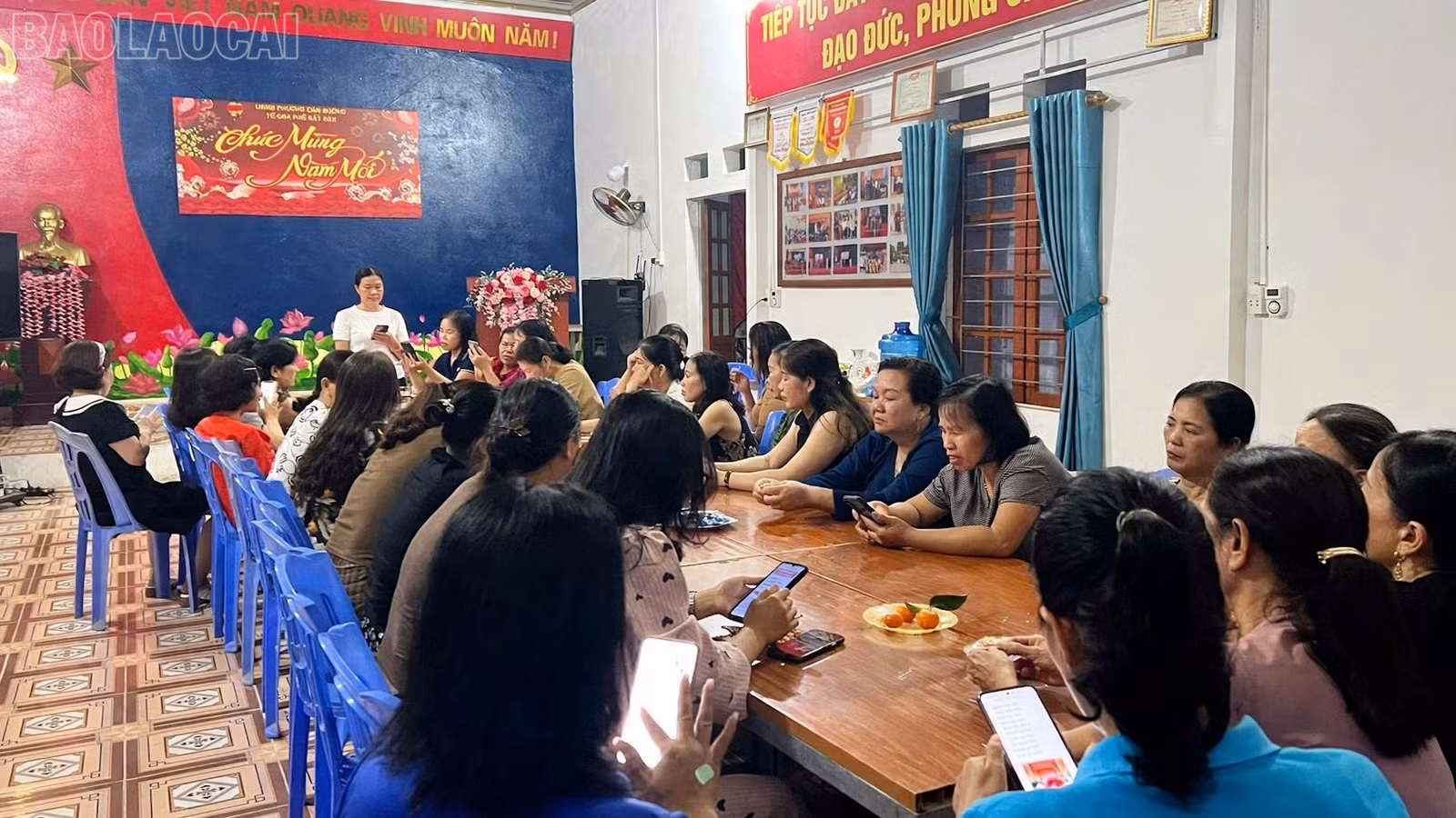 baolaocai-tl_to-3359.jpg