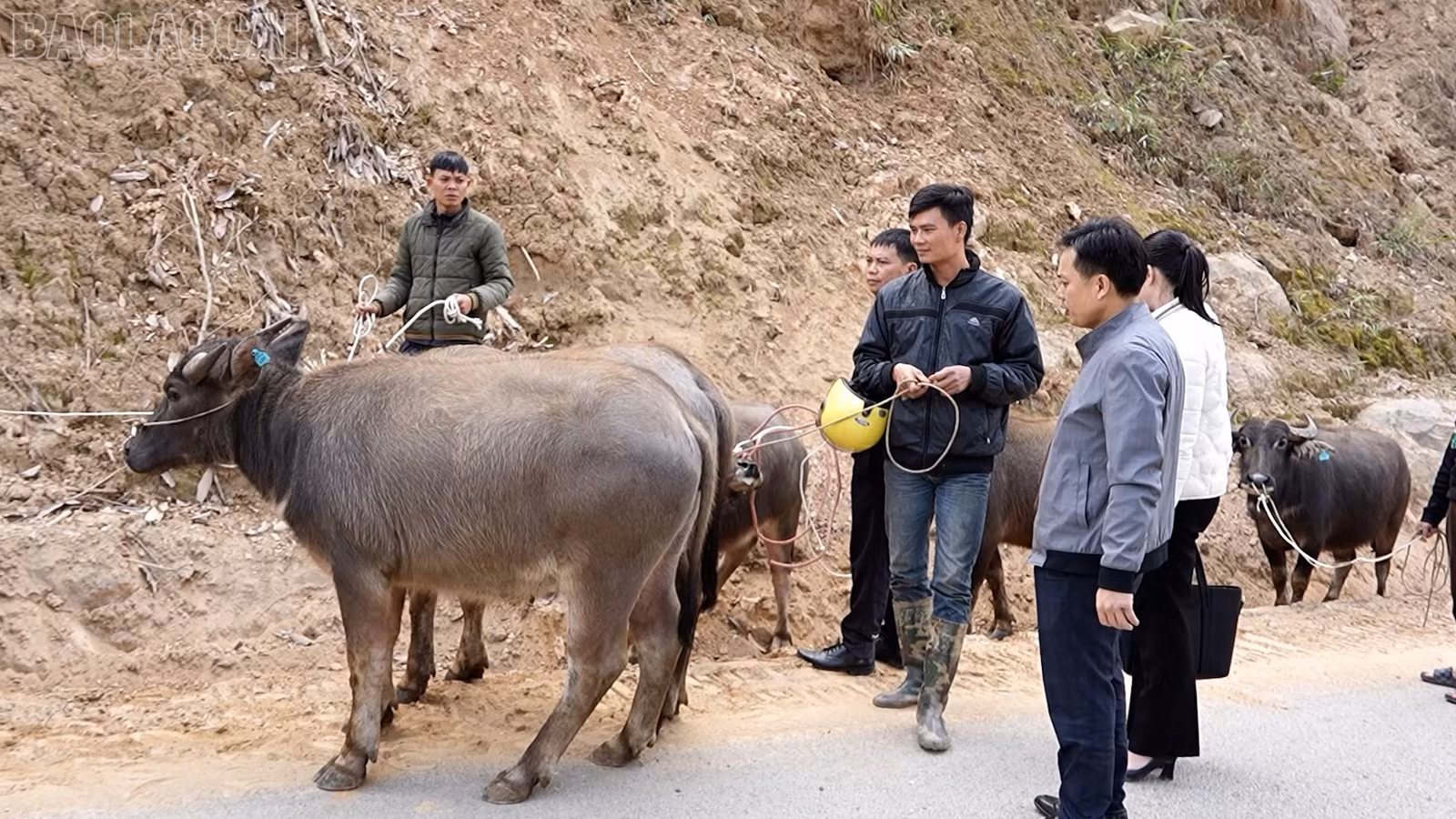 baolaocai-tl_giam-ngheo-3.jpg