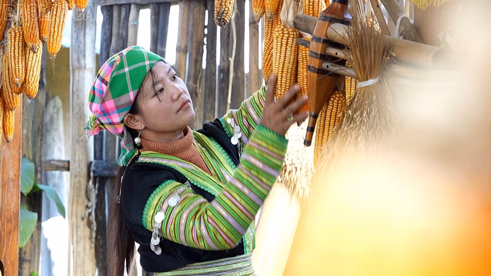baolaocai-tl_anh-sang-8.jpg