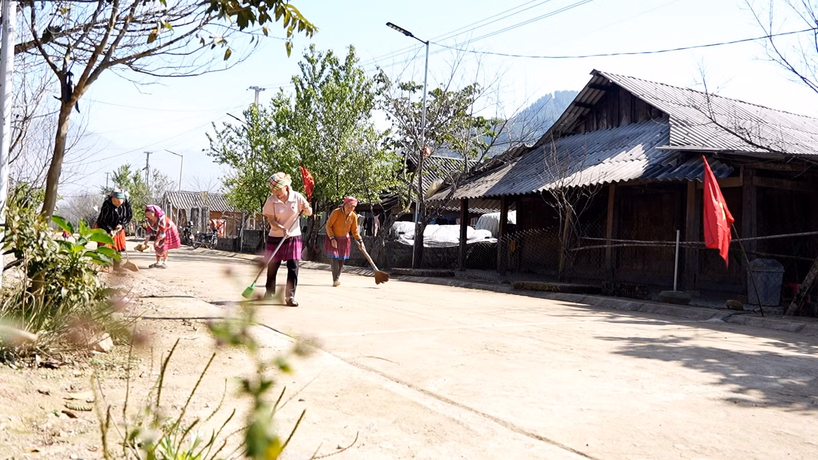 baolaocai-tl_anh-sang-5.jpg