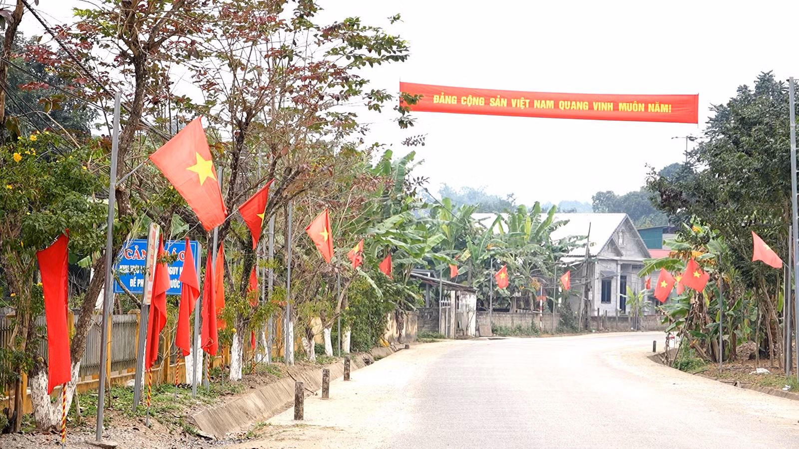 thi-dua-trong-hoa-5.jpg