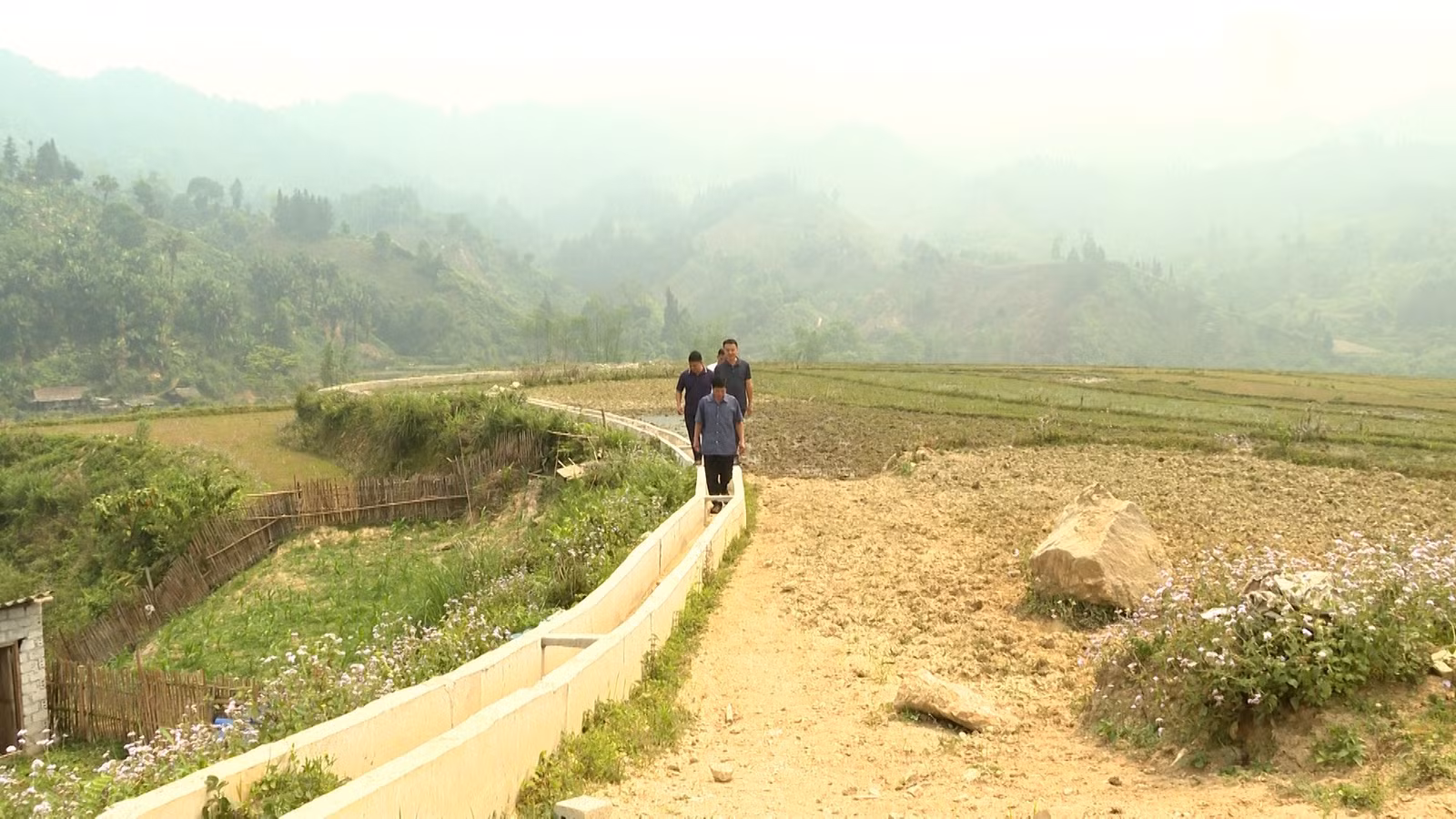 baolaocai-tl_hd-1.jpg