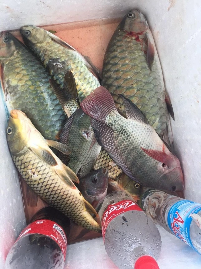 Theo chân thợ săn đặc sản Na Hang ảnh 3