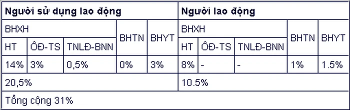 6 chính sách mới về BHXH, tuổi nghỉ hưu năm 2022 ảnh 2 6 chính sách mới về BHXH, tuổi nghỉ hưu năm 2022 ảnh 2