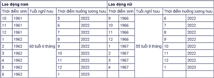 6 chính sách mới về BHXH, tuổi nghỉ hưu năm 2022 ảnh 7 6 chính sách mới về BHXH, tuổi nghỉ hưu năm 2022 ảnh 7