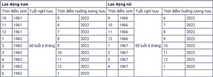 6 chính sách mới về BHXH, tuổi nghỉ hưu năm 2022 ảnh 7 6 chính sách mới về BHXH, tuổi nghỉ hưu năm 2022 ảnh 7