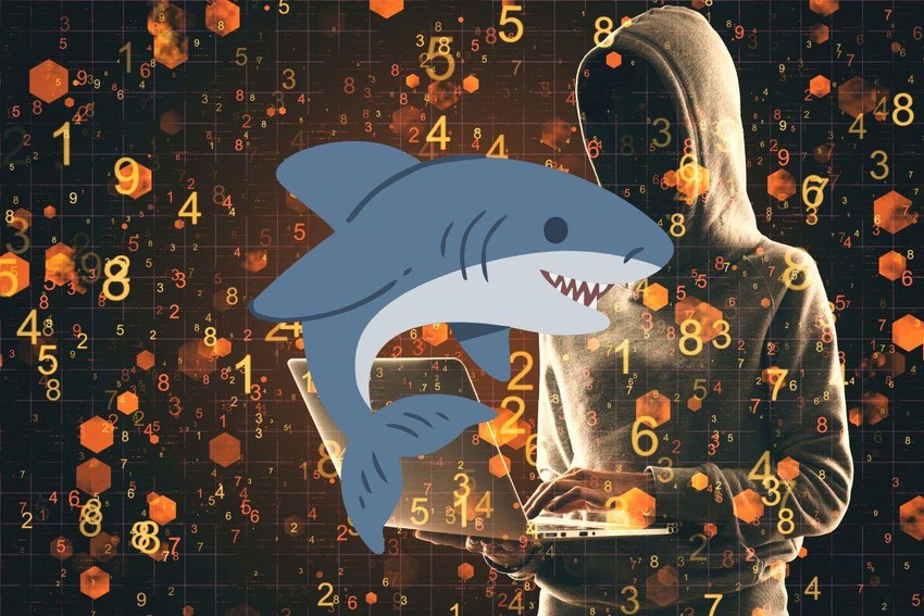 phan-mem-doc-hai-sharkbot phan-mem-doc-hai-sharkbot