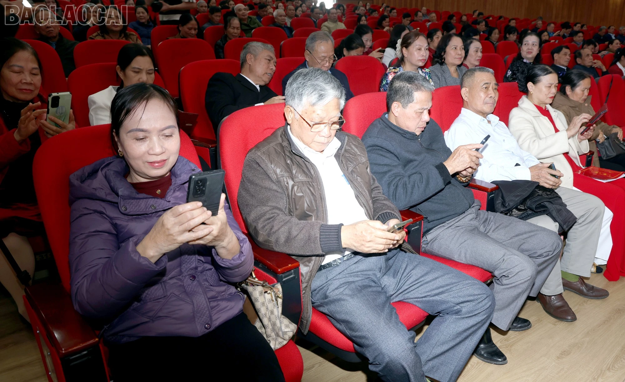 baolaocai-tl_cd3.jpg