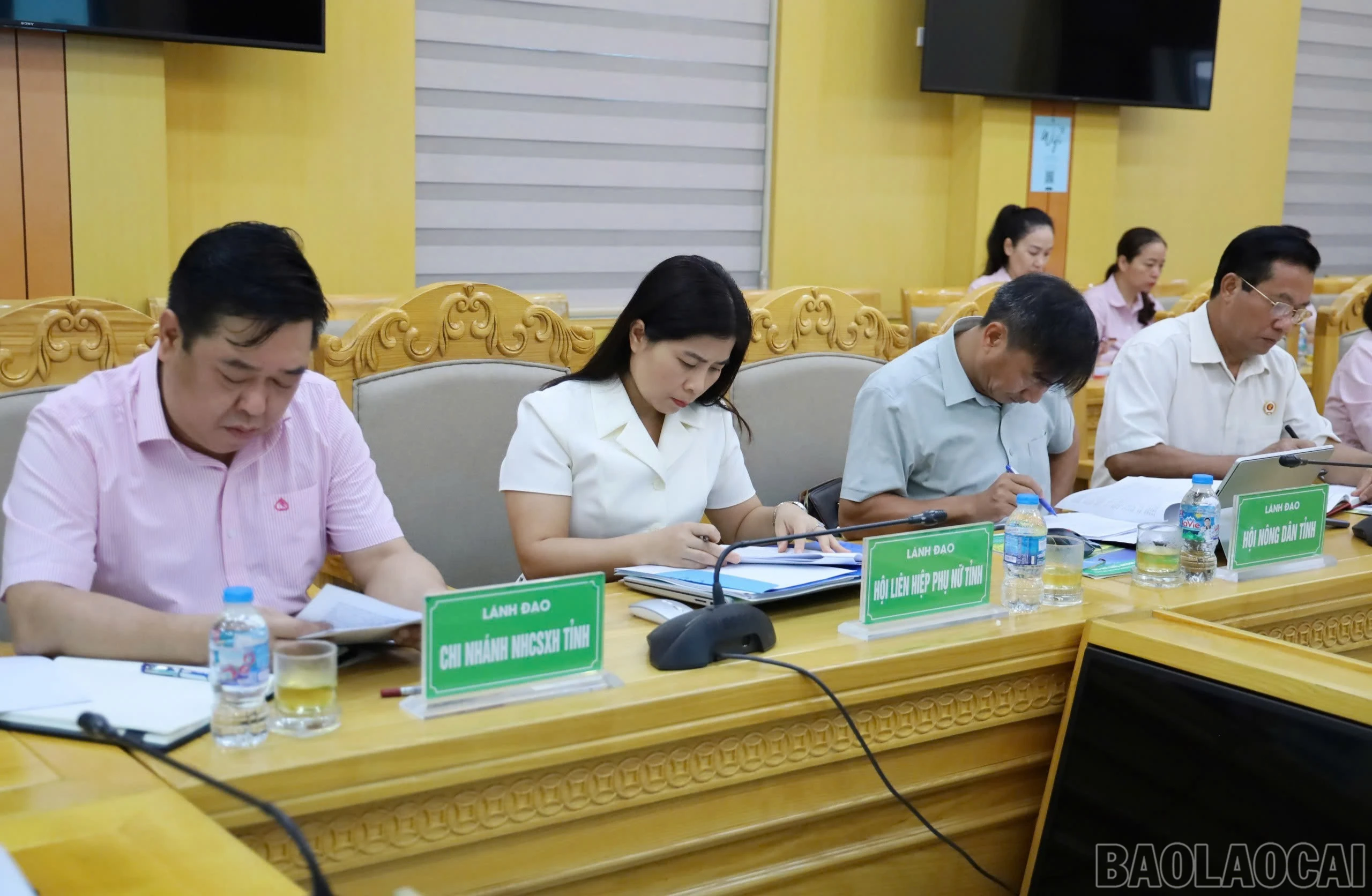 baolaocai-br_anh-3-2693.jpg