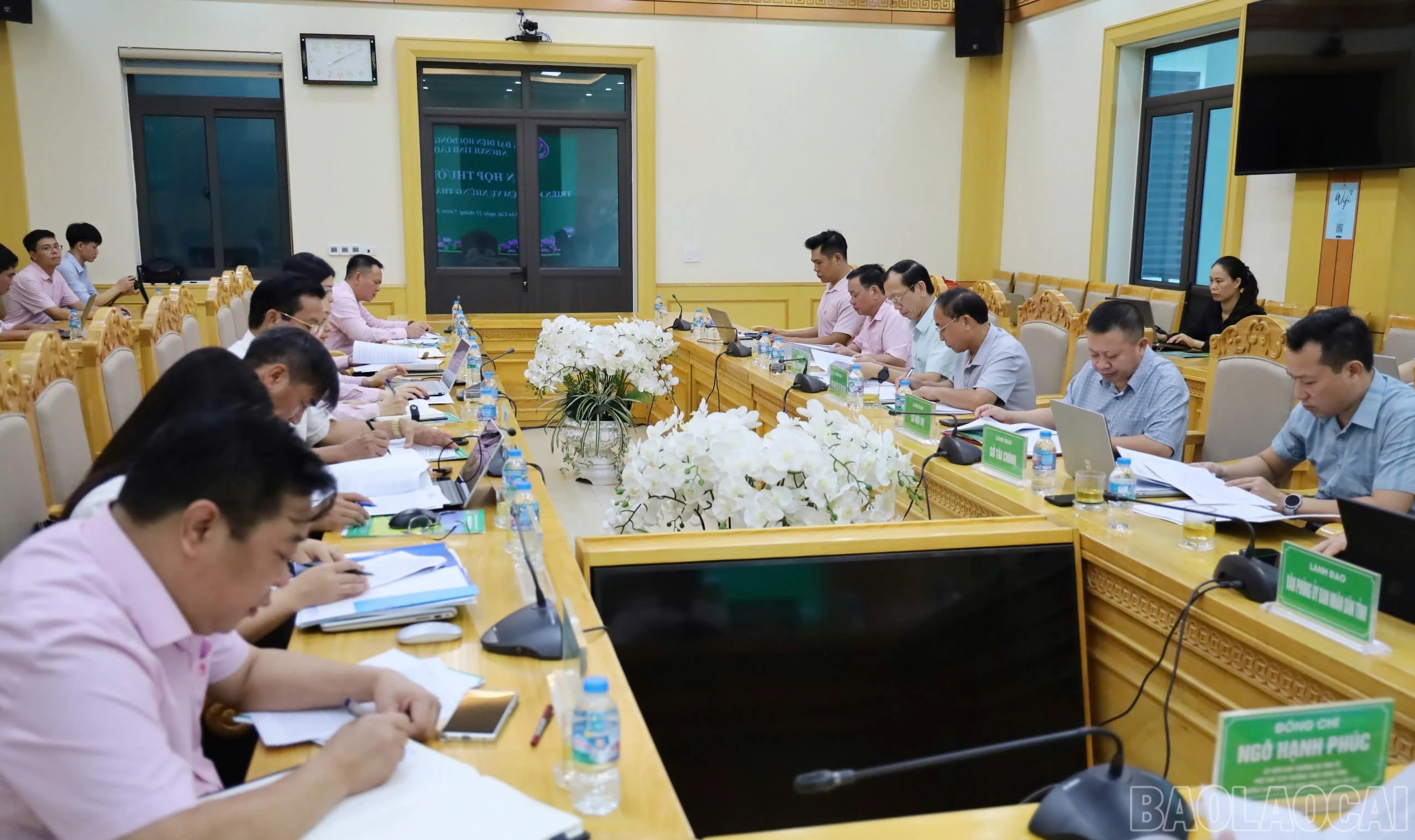 baolaocai-br_anh-4-6630.jpg