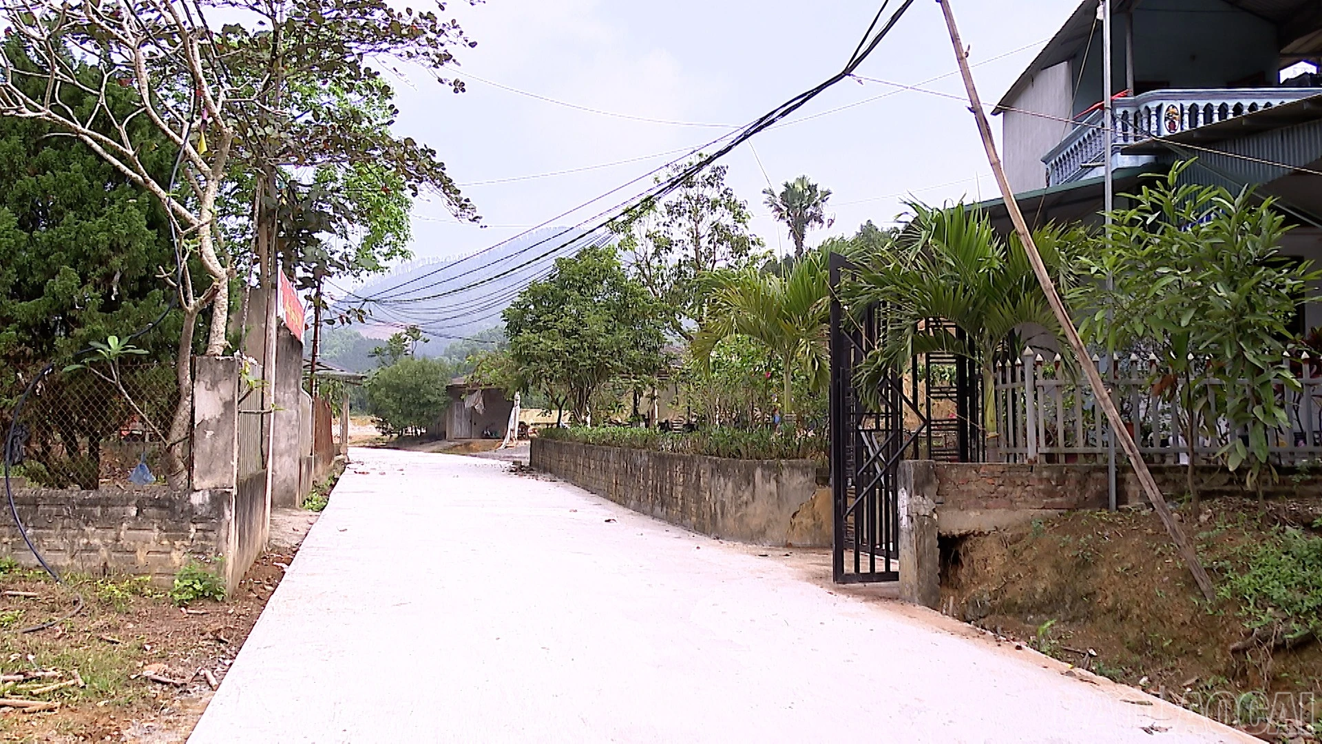 baolaocai-br_dung-hinh00-02-09-06still005.jpg