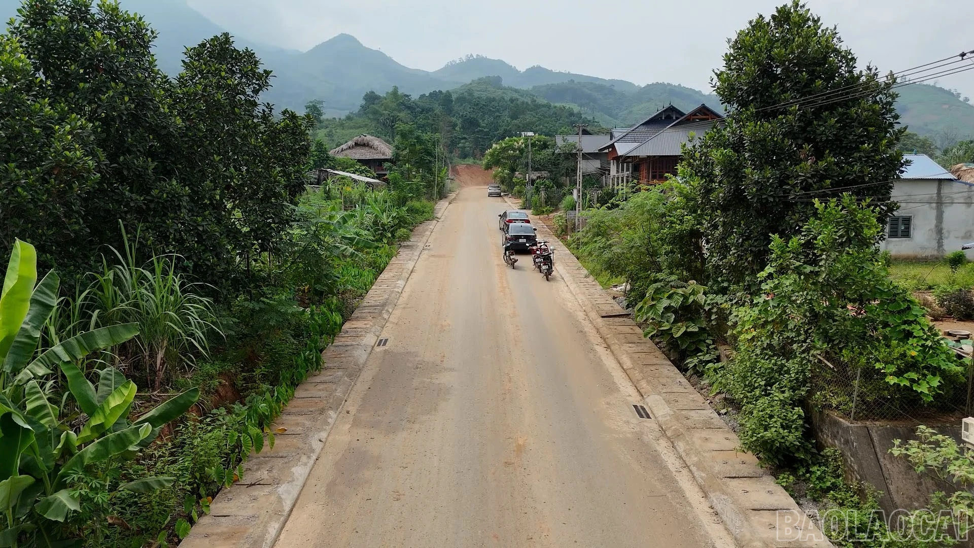 baolaocai-br_anh-10-5330.jpg