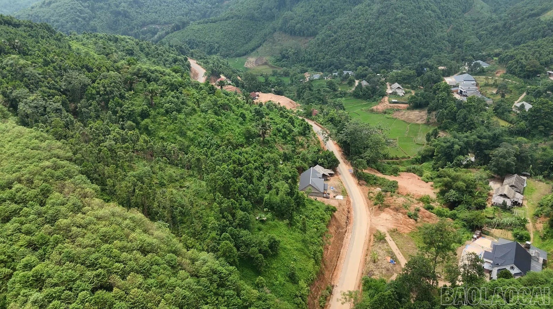 baolaocai-br_anh-4-875.jpg