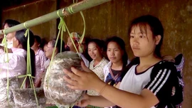 Hội phụ nữ các cấp đã tăng cường đào tạo, hướng nghiệp, dạy nghề, giới thiệu việc làm cho phụ nữ vùng nông thôn, vùng đồng bào dân tộc, hỗ trợ cho phụ nữ nghèo, có hoàn cảnh khó khăn vươn lên tr&#111;ng cuộc sống.
