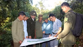 Lãnh đạo huyện Trạm Tấu tăng cường tuần tra, kiểm soát bảo vệ rừng.