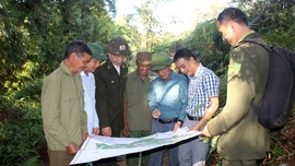 Lãnh đạo huyện Trạm Tấu tăng cường tuần tra, kiểm soát bảo vệ rừng.