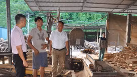 Lãnh đạo xã Minh Tiến và Ngân hàng Chính sách xã hội huyện Lục Yên kiểm tra mô hình sản xuất ván xẻ của gia đình anh Nguyễn Văn Việt ở thôn Tổng Táng.