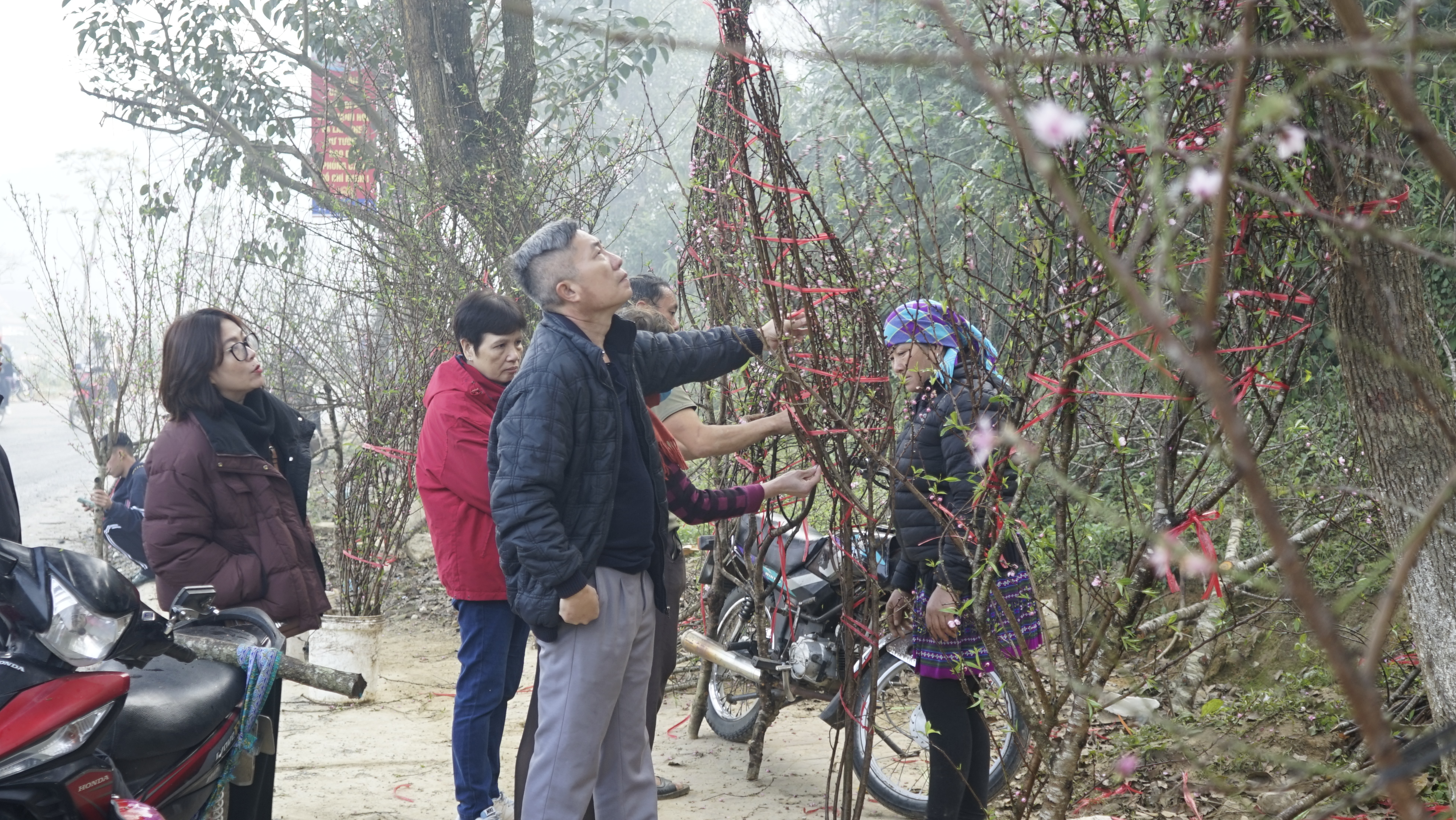 Nhiều du khách chọn cành đào mang về chơi. _DSC1726.JPG