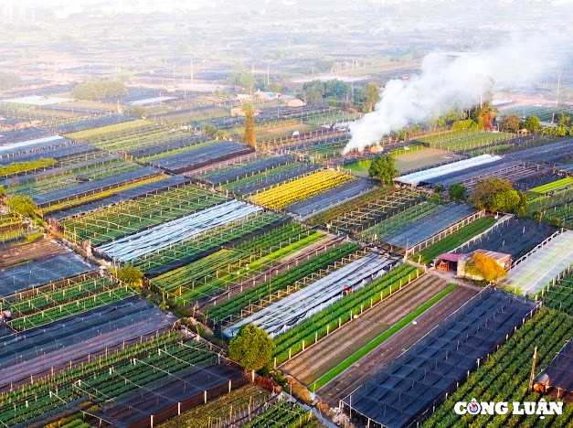 Cận dịp Tết Nguyên đán 2024, cánh đồng hoa Tây Tựu với tổng diện tích lên đến 200 ha đang ở rộ chăm sóc rất kỹ lưỡng để cung cấp nhiều loại hoa khác nhau như cúc vàng, cúc trắng, đồng tiền, ly, hồng cho người dân Hà Nội và các tỉnh/thành lân cận. Khung cảnh ở thủ phủ hoa Tây Tựu như một bức tranh thiên nhiên tuyệt đẹp, tràn ngập sắc màu. Cận dịp Tết Nguyên đán 2024, cánh đồng hoa Tây Tựu với tổng diện tích lên đến 200 ha đang ở rộ chăm sóc rất kỹ lưỡng để cung cấp nhiều loại hoa khác nhau như cúc vàng, cúc trắng, đồng tiền, ly, hồng cho người dân Hà Nội và các tỉnh/thành lân cận. Khung cảnh ở thủ phủ hoa Tây Tựu như một bức tranh thiên nhiên tuyệt đẹp, tràn ngập sắc màu.